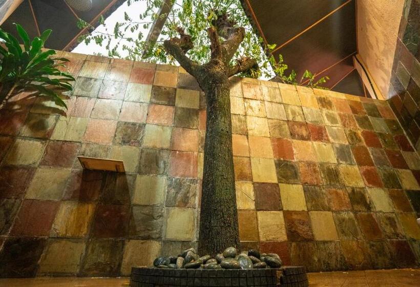 标准间, Lost Paradise Resort