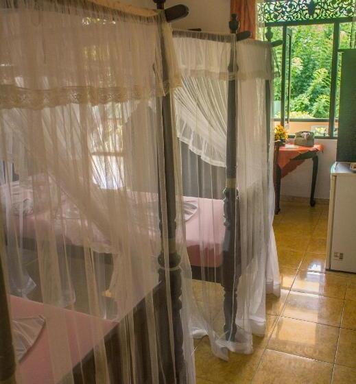 غرفة سوبيريور مزوَّدة بتراس, Panorama