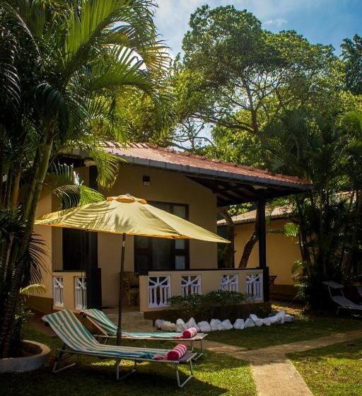 بنجلو عائلى مطل على البحر, Panorama