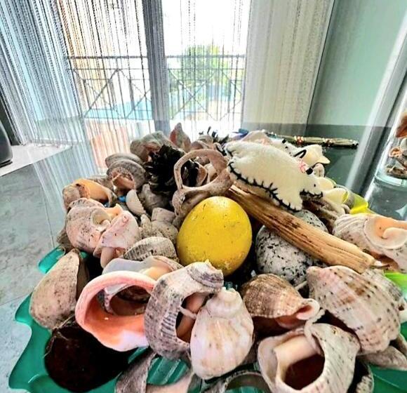 اتاق استاندارد با بالکن, Rio Gonio