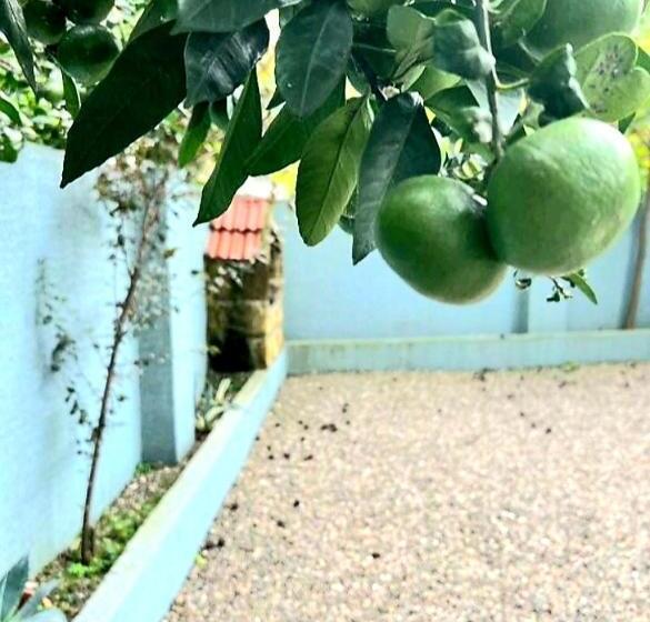 اتاق استاندارد چهار تخته, Rio Gonio