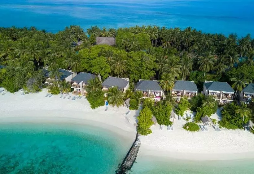 اتاق سوپریور, Summer Island Maldives Resort