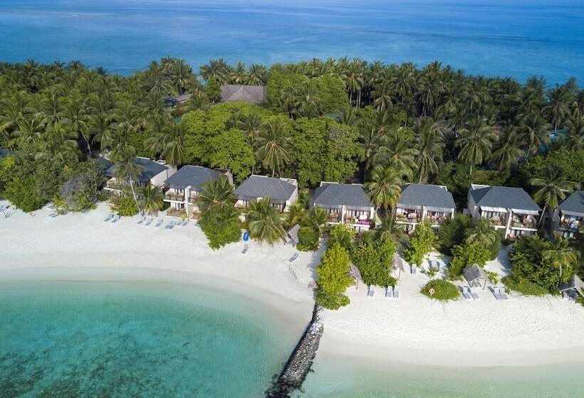 חדר סופריור, Summer Island Maldives Resort