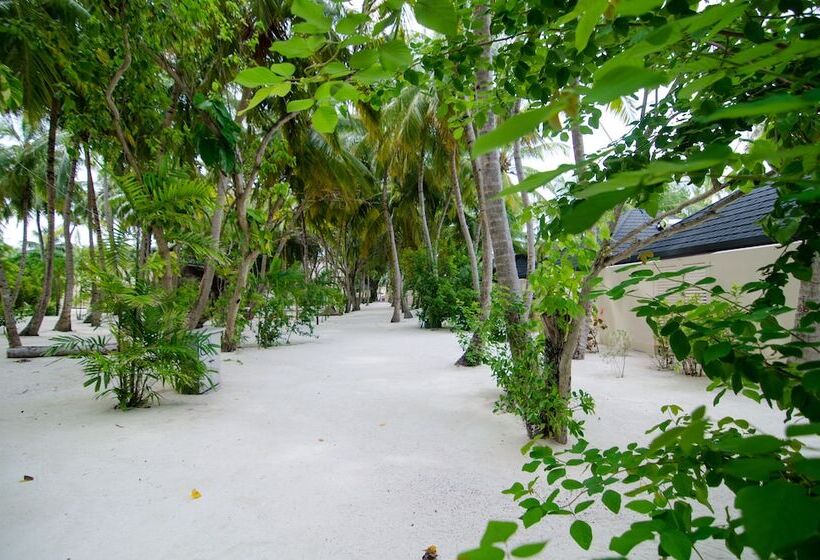בקתה סופריור, Summer Island Maldives Resort