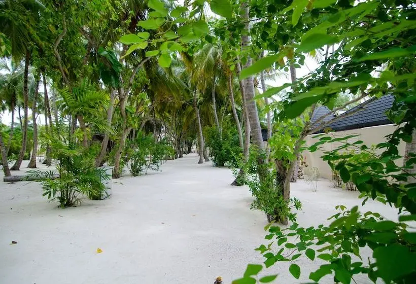 بانگلوی سوپریور, Summer Island Maldives Resort