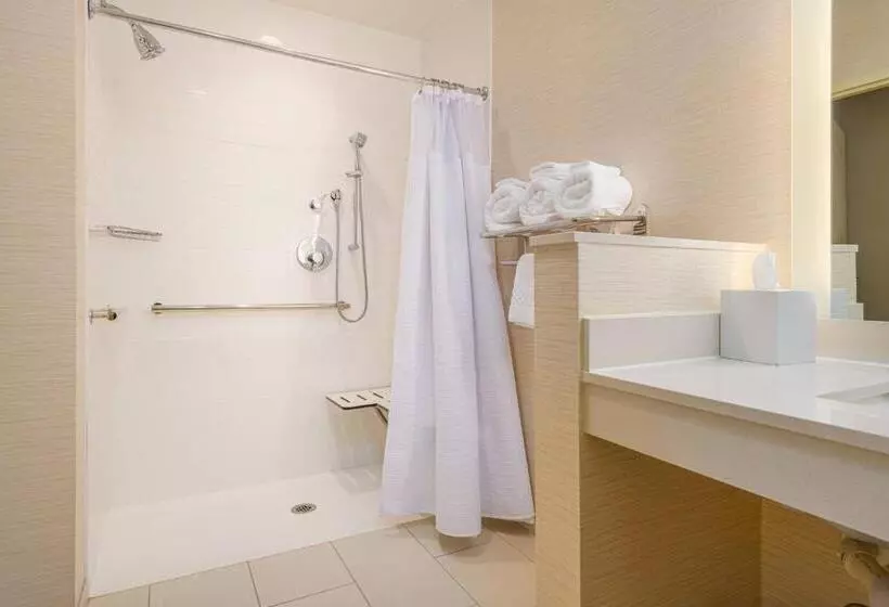 スタンダードルーム, Fairfield Inn & Suites By Marriott Raleigh Cary