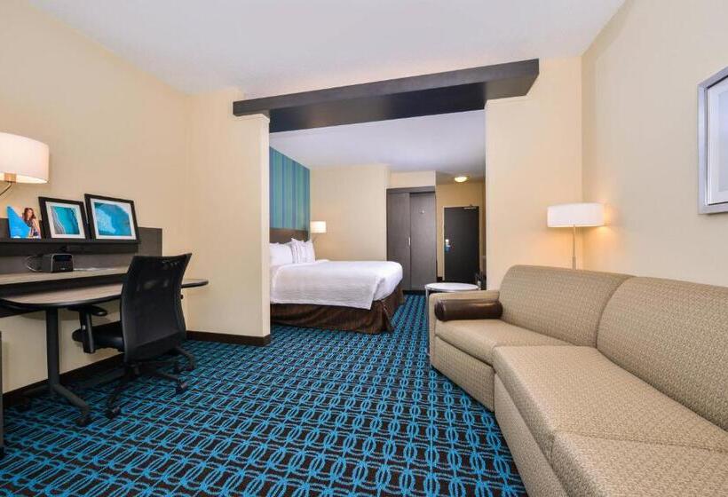 سوئیت با تخت بزرگ, Fairfield Inn & Suites By Marriott Raleigh Cary