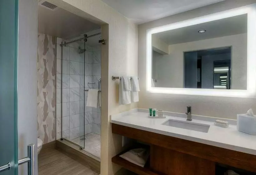 キングサイズベッドのデラックスルーム, Hilton Norfolk The Main
