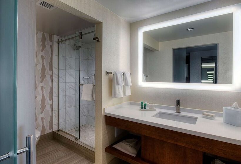 스탠다드 룸 더블 침대 2개, Hilton Norfolk The Main