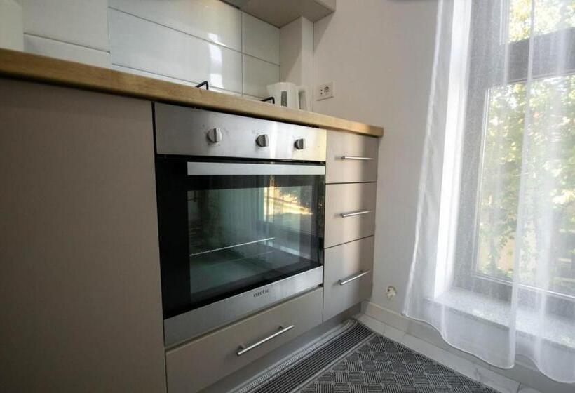 Апартаменты Deluxe 1 Спальня, Downtown Apartments