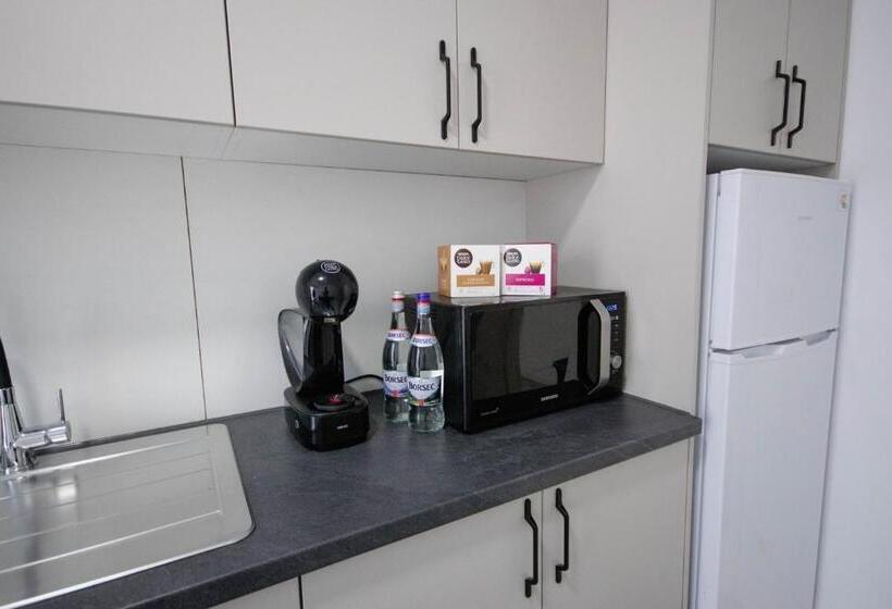 Апартаменты 2 Спальни, Downtown Apartments