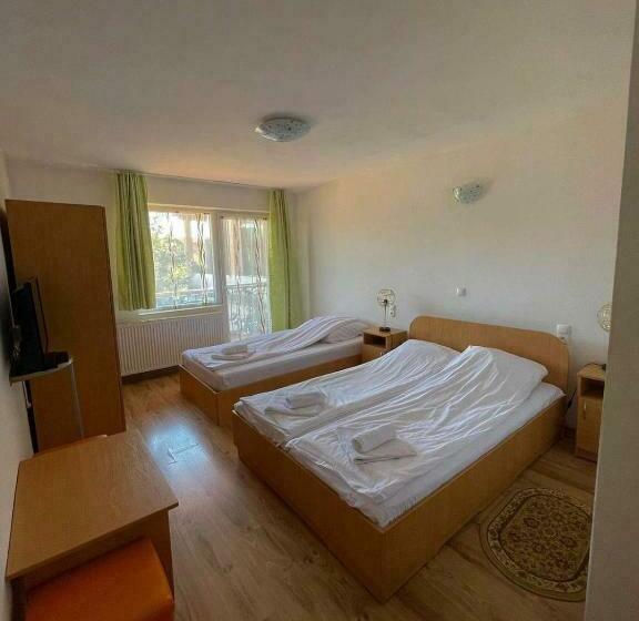 غرفة قياسية, Pensiunea Sandra