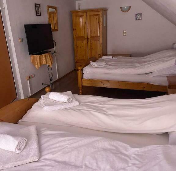 غرفة قياسية ثلاثية, Pensiunea Sandra