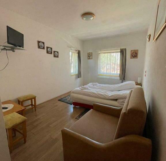 غرفة قياسية ثلاثية, Pensiunea Sandra