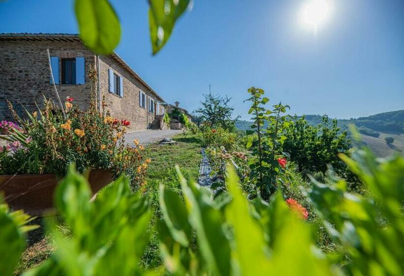 Standart Oda, Suite Con Bagno In Villa Esclusiva   Urbino