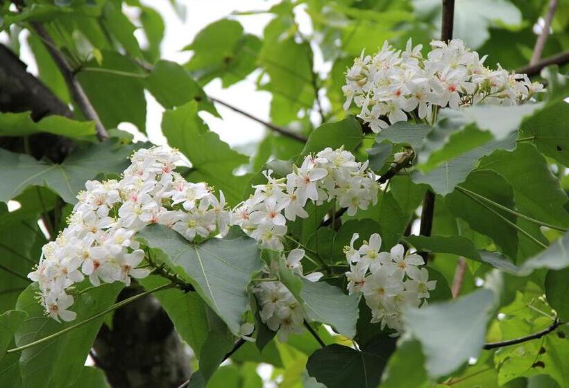 اتاق سوپریور, Guest Motel  Zhongli Branch