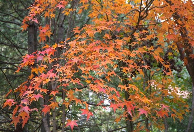 اتاق پریمیوم چهارنفره, Guest Motel  Zhongli Branch