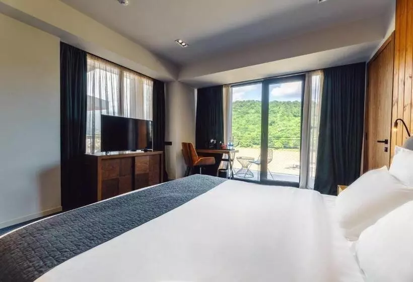 身障者適用スタンダードルーム, Kvareli Lake Resort