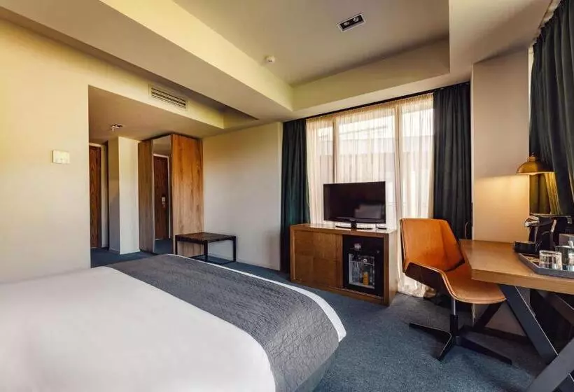 身障者適用スタンダードルーム, Kvareli Lake Resort