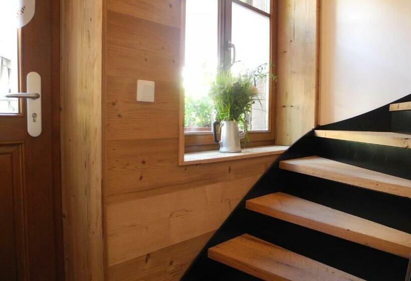 إستوديو قياسى, L Ours