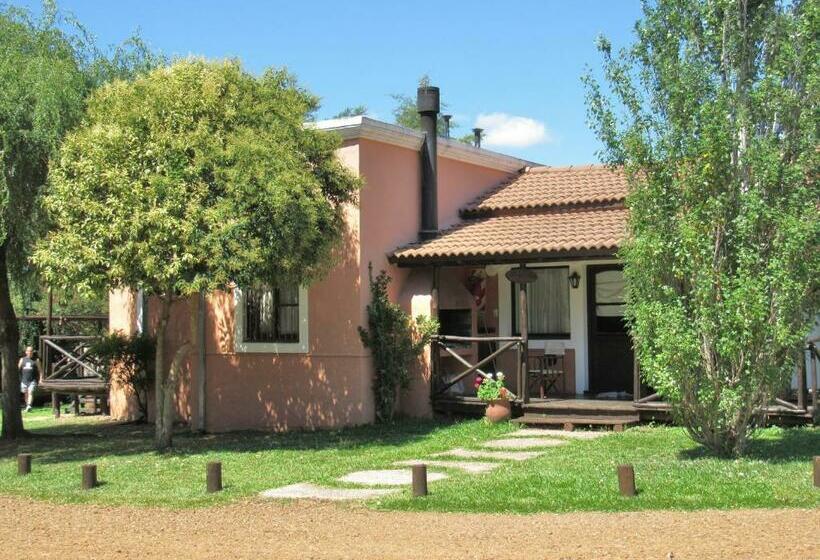 بنجلو عائلى, Cabaãƒæ’ã‚â±as Del Ysyry