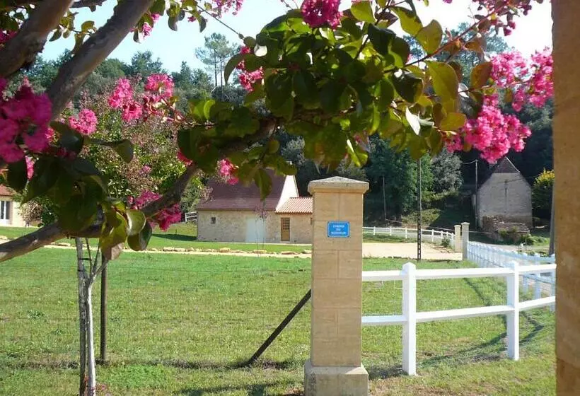４ベッドルームハウス, Domaine De Campagnac   Spa & Sauna