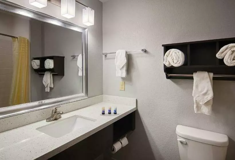 Sviitti King-vuode, Best Western Plus Lonestar Inn & Suites