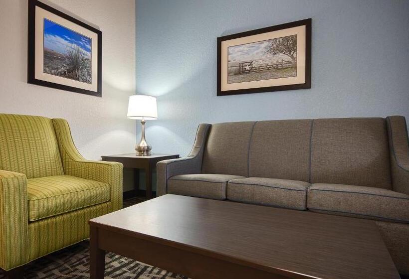 스위트, Best Western Plus Lonestar Inn & Suites