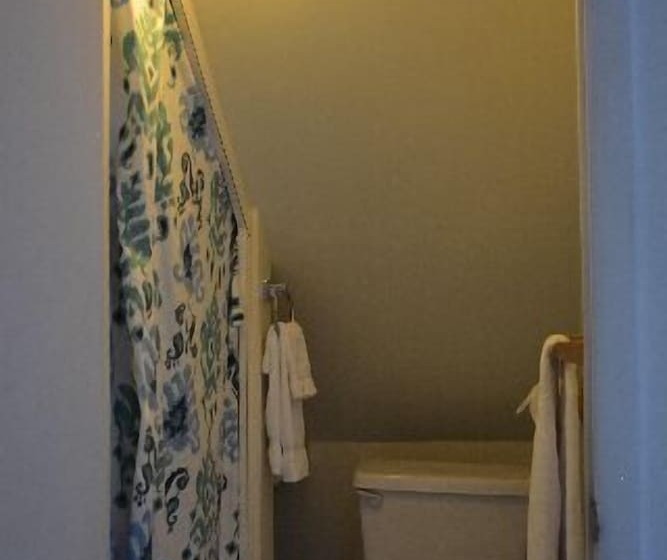 经济型工作室, Black Walnut Point Inn