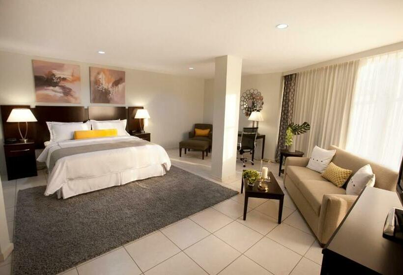 سوییت, Los Andes