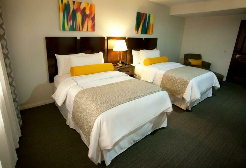 اتاق استاندارد با 2 تخت دوبل, Los Andes