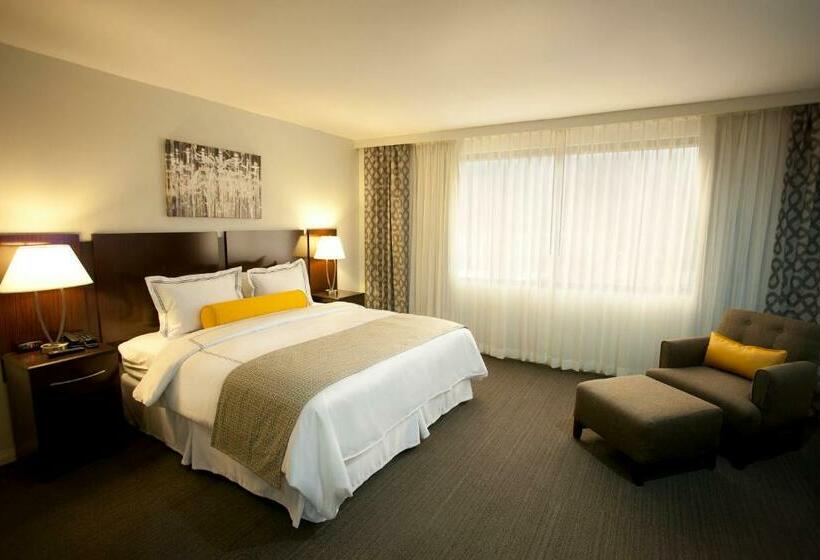 اتاق استاندارد با تخت بزرگ, Los Andes