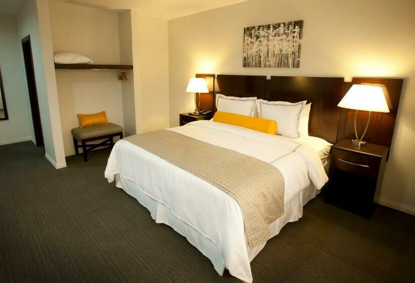 اتاق استاندارد با تخت بزرگ, Los Andes