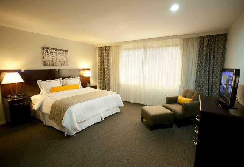 اتاق استاندارد با تخت بزرگ, Los Andes