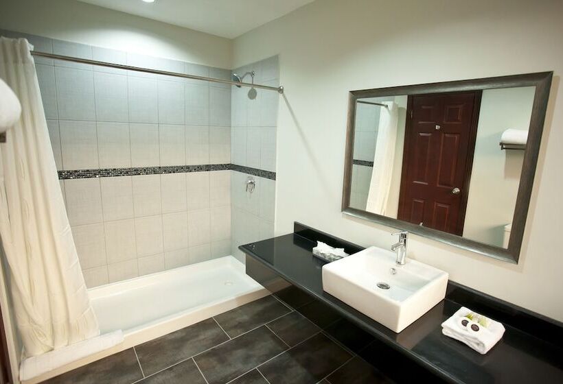 اتاق استاندارد با 2 تخت دوبل, Los Andes