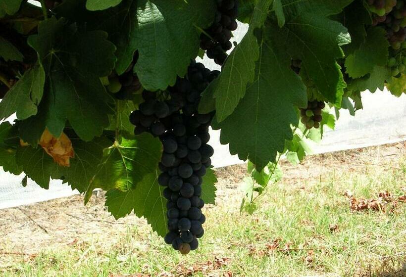 샬레, Ridgemill Estate