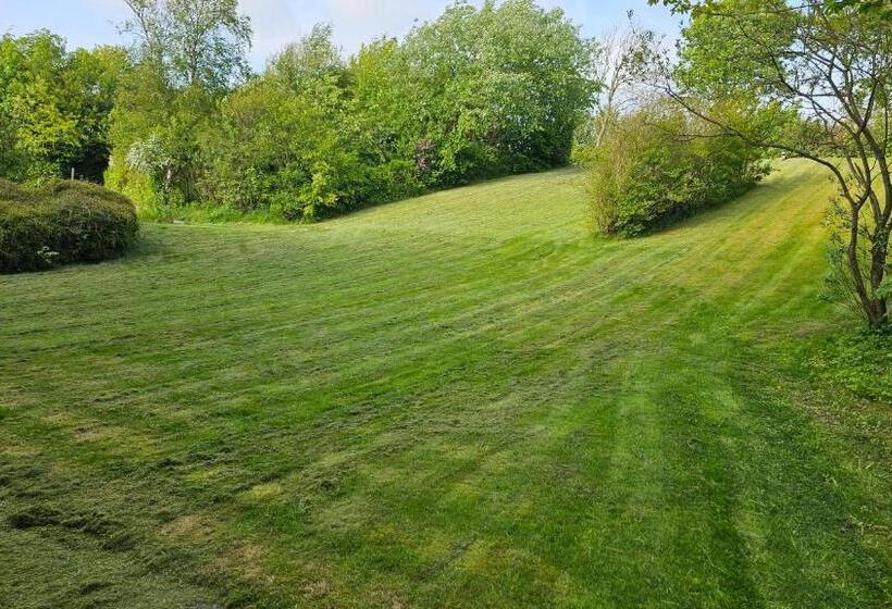 חדר סטנדרט יחיד, Gudum Park