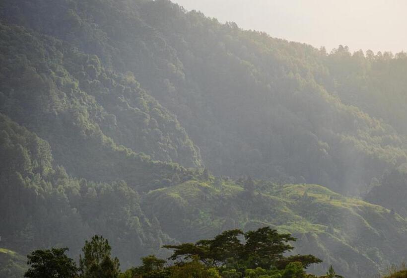 标准间带山景, Marianna Resort & Convention Tuktuk Samosir