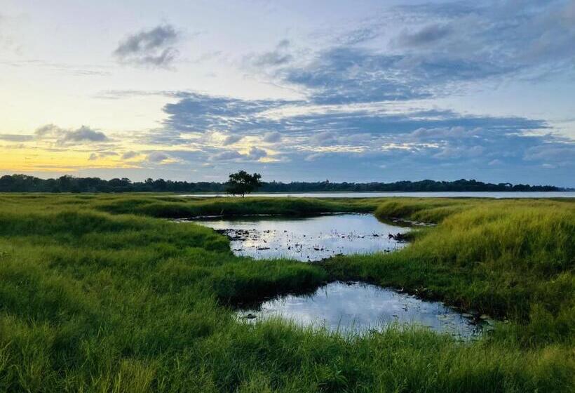 이코노미 룸, Grand Refuge Holiday Rooms