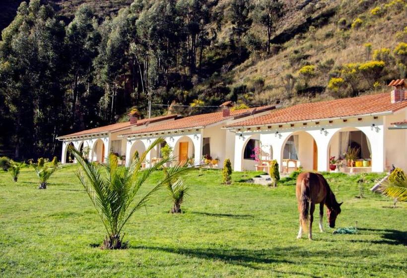 اتاق خانوادگی, Fundo Alma Andina