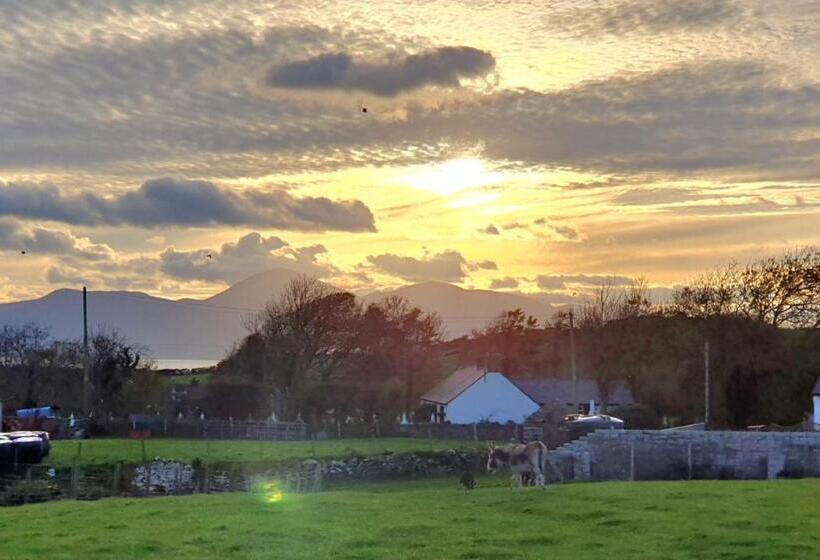 스탠다드 룸 가든 전망, Bright Cottage, Kingdom Of Mourne