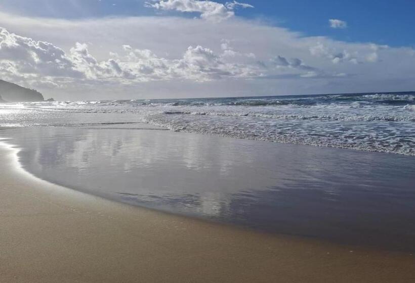 标准间, Glicine Room Sperlongaresort