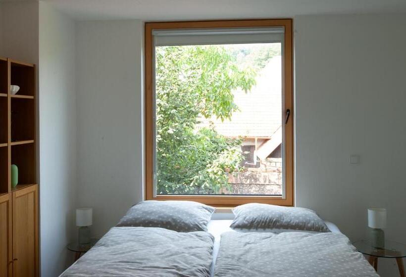 Апартаменты 1 Спальня Вид на Сад, Pension Merano