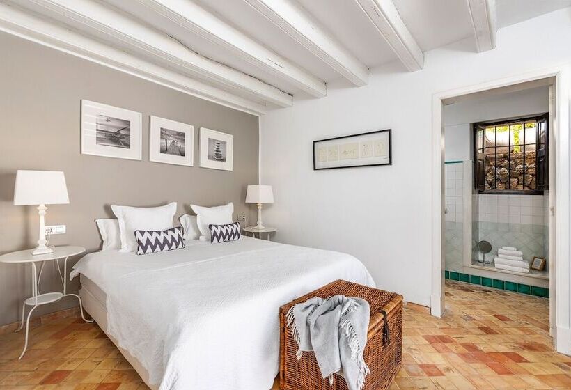 اتاق استاندارد با تراس, Finca Son Arnau