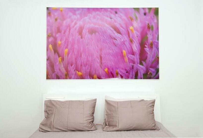 اتاق استاندارد, Galeria River