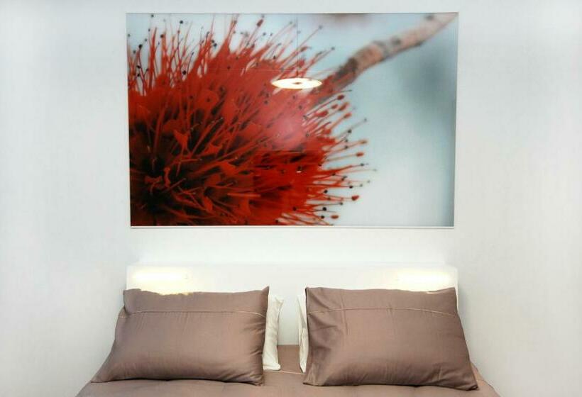 اتاق استاندارد, Galeria River