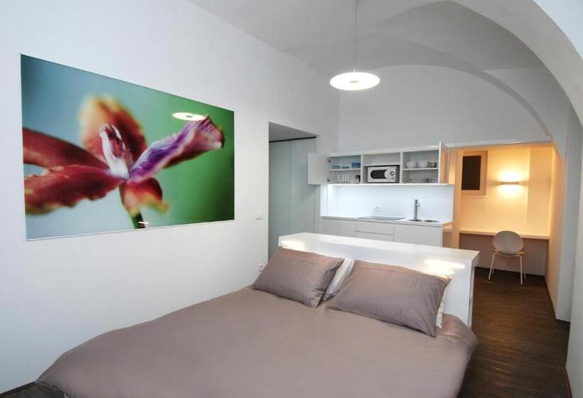 استودیوی استاندارد, Galeria River