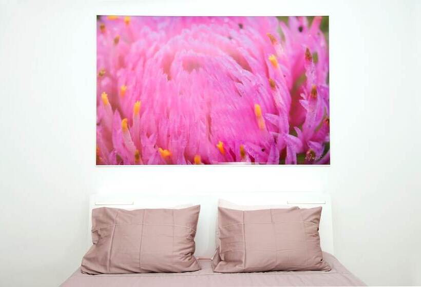 اتاق استاندارد, Galeria River