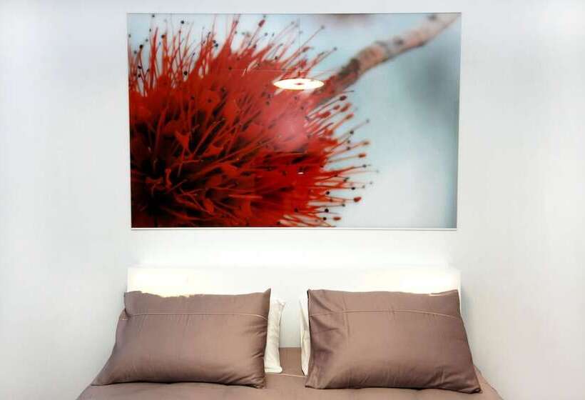 اتاق استاندارد, Galeria River