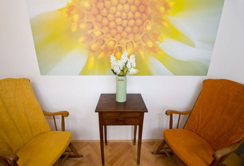 اتاق اکونومی, Galeria River